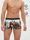 Мужские трусы боксеры / Horizon Zero Dawn