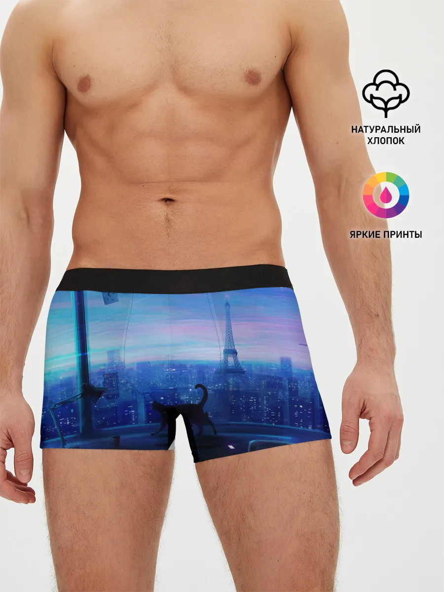 Мужские трусы боксеры / Кошка арт окно