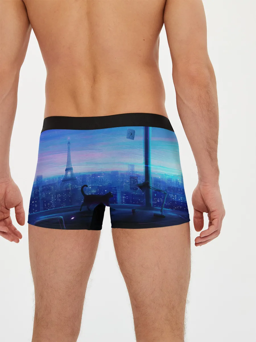 Мужские трусы боксеры / Кошка арт окно