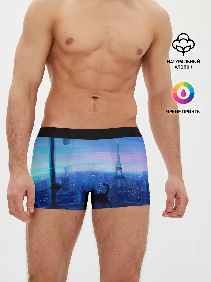 Мужские трусы боксеры / Кошка арт окно