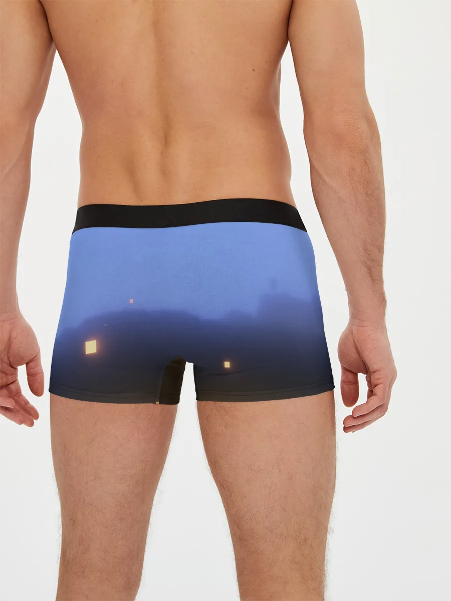 Мужские трусы боксеры / minecraft