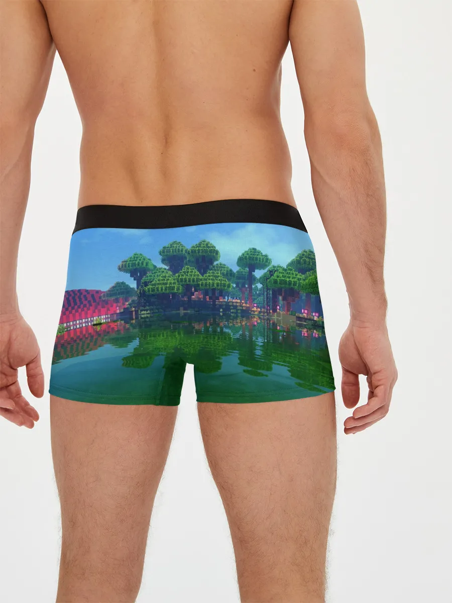 Мужские трусы боксеры / minecraft