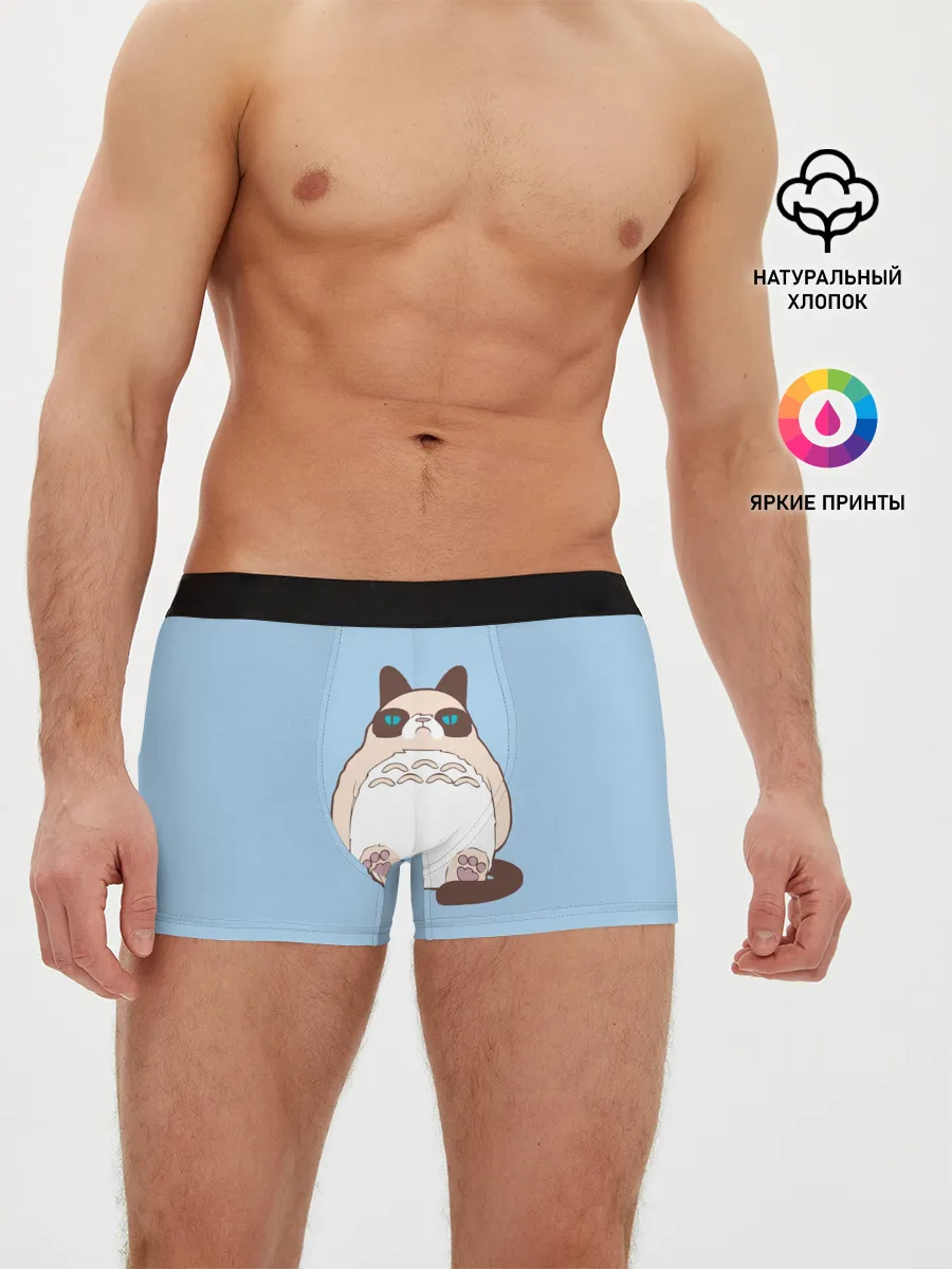 Мужские трусы боксеры / Тоторный кот