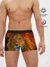 Мужские трусы боксеры / Лев 3D