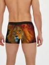 Мужские трусы боксеры / Лев 3D