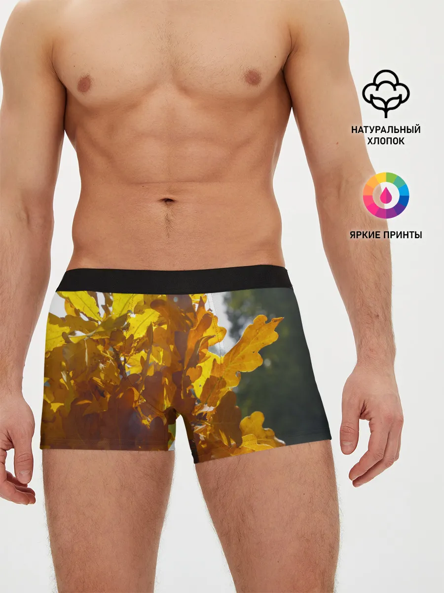 Мужские трусы боксеры / Букет из осенних листьев