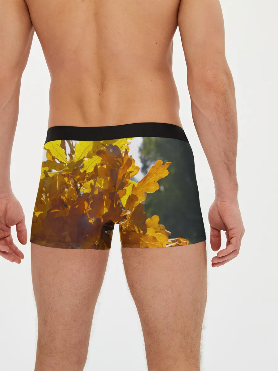 Мужские трусы боксеры / Букет из осенних листьев