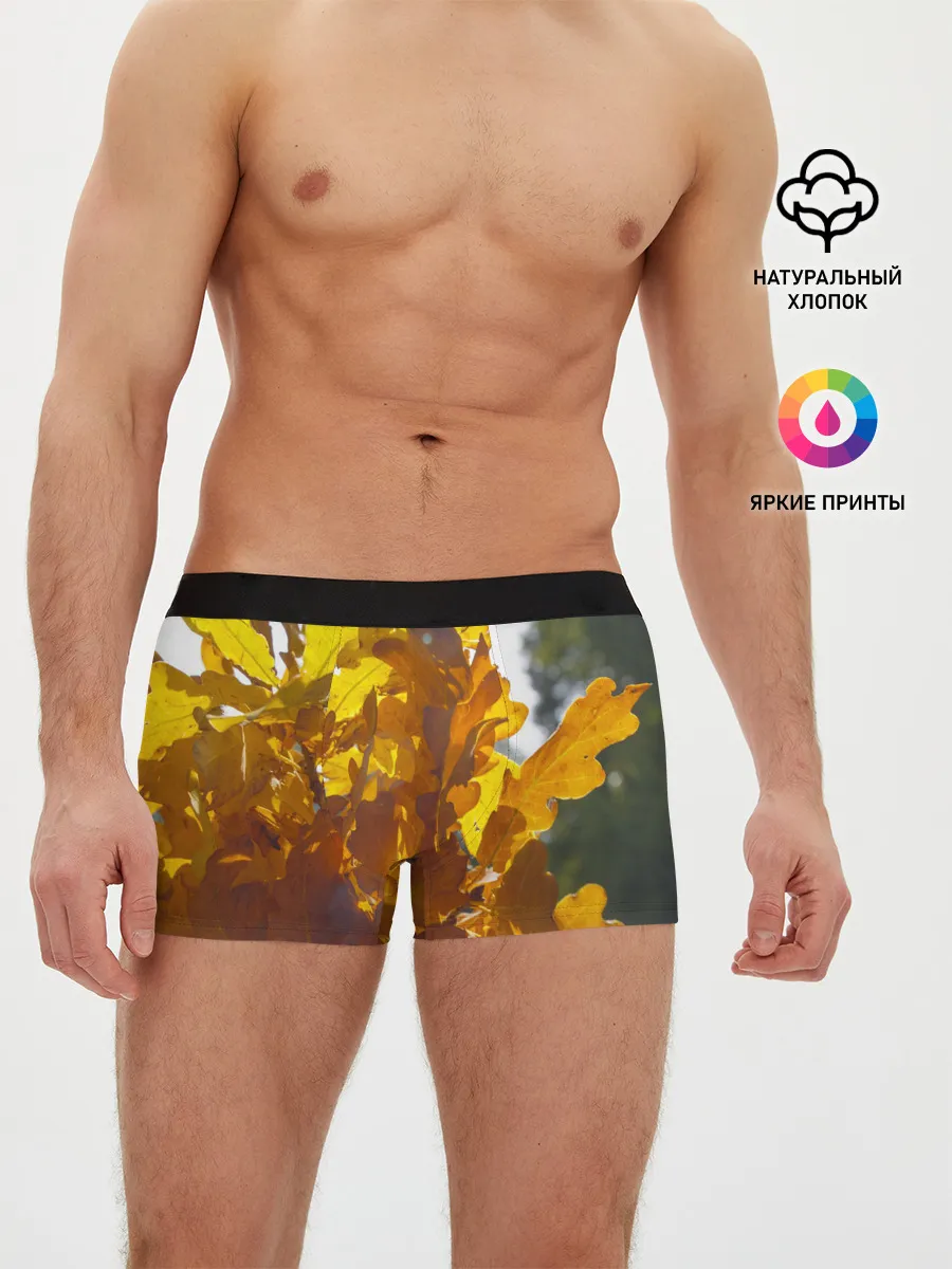 Мужские трусы боксеры / Букет из осенних листьев
