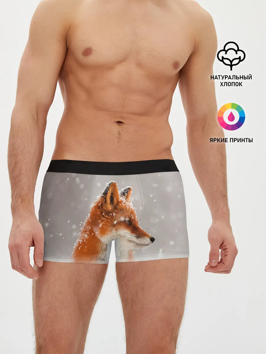 Мужские трусы боксеры / Лиса и снег
