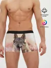 Мужские трусы боксеры / Красивый Волк