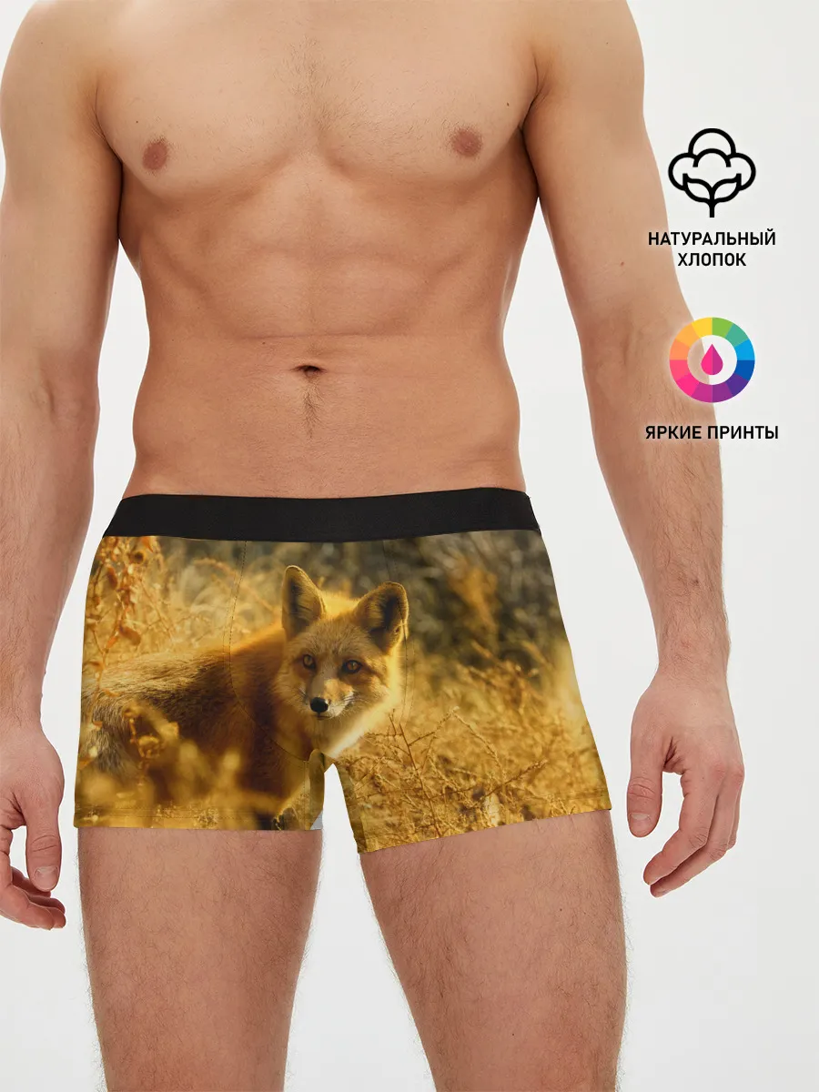 Мужские трусы боксеры / Рыжая Лиса