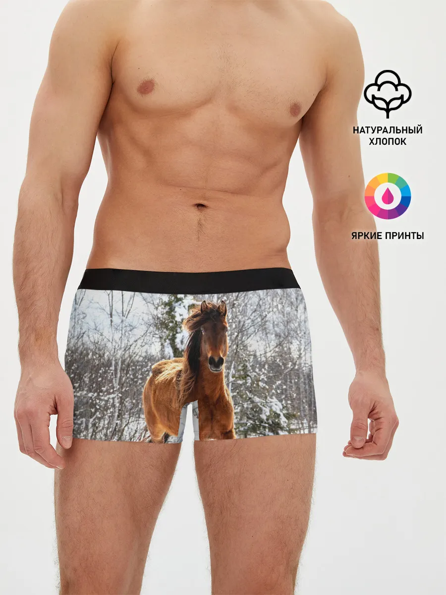 Мужские трусы боксеры / Конь и снег
