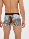 Мужские трусы боксеры / Конь и снег
