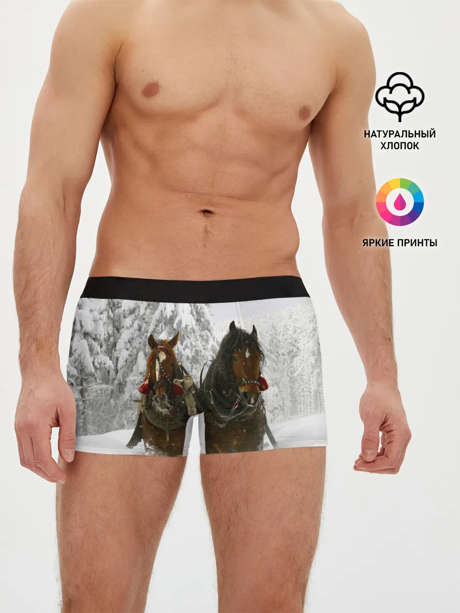 Мужские трусы боксеры / Лошади и снег