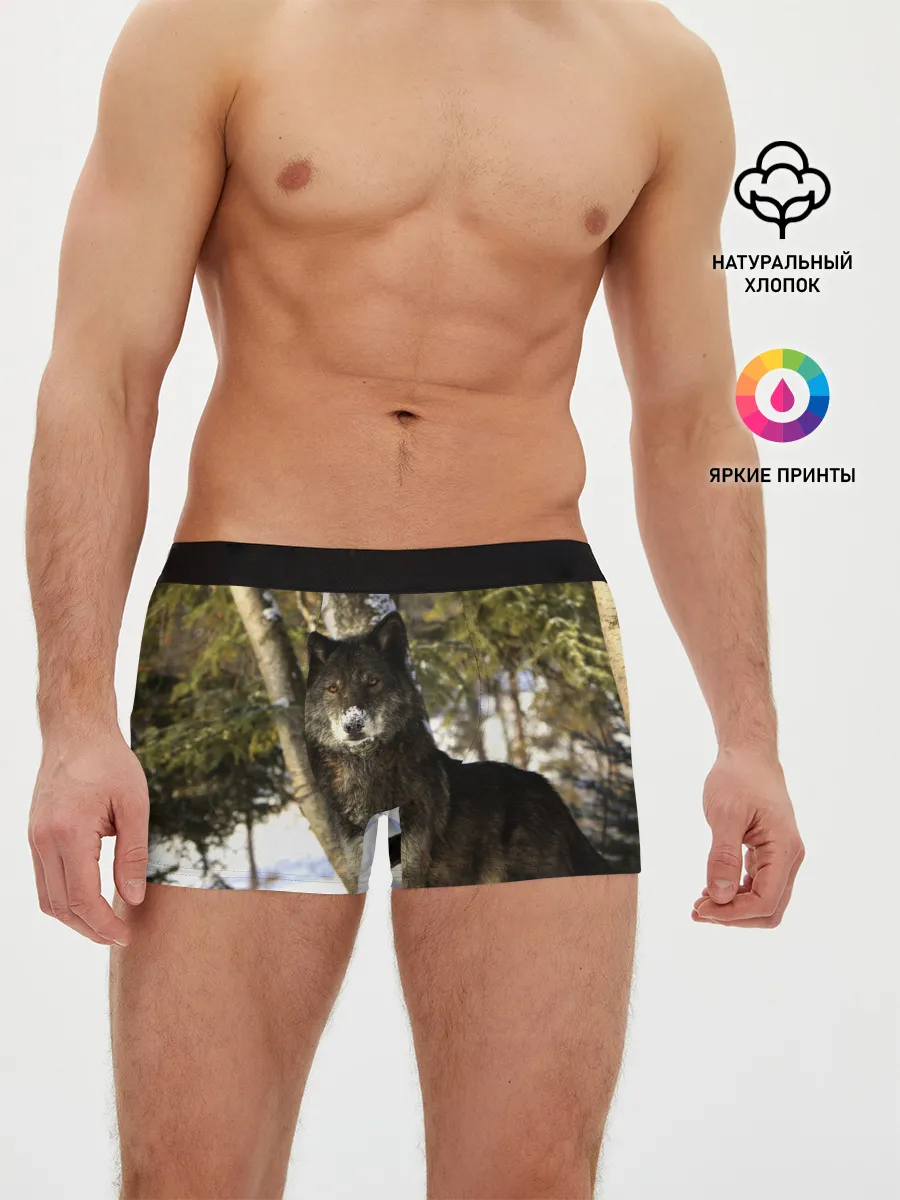 Мужские трусы боксеры / Волк и снег