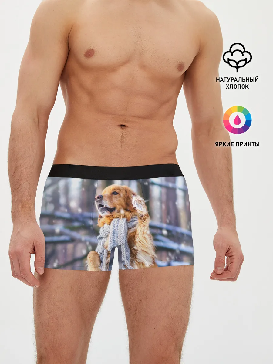 Мужские трусы боксеры / Золотистый Ретривер
