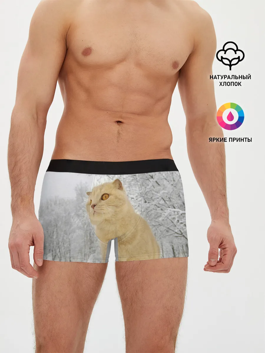 Мужские трусы боксеры / Кот и снег