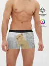 Мужские трусы боксеры / Кот и снег