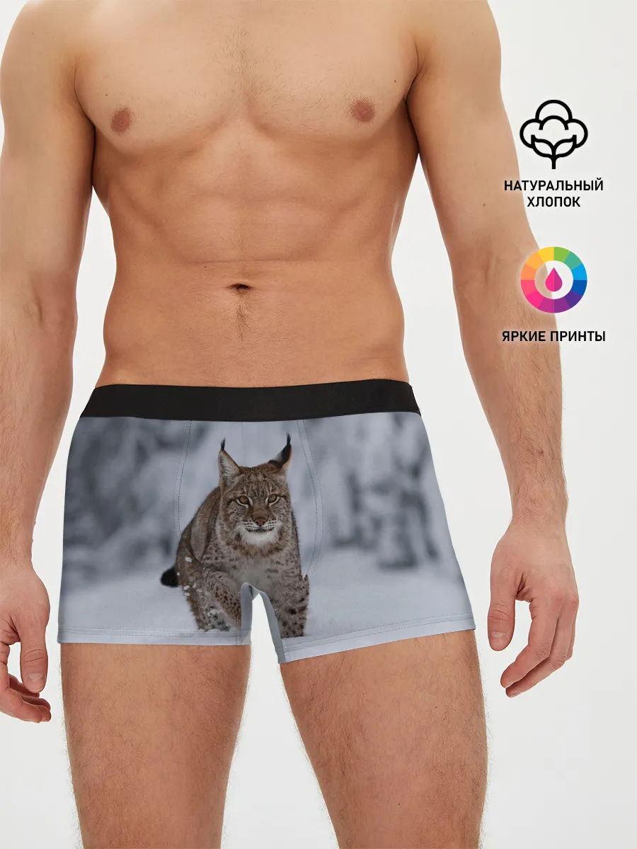 Мужские трусы боксеры / Рысь