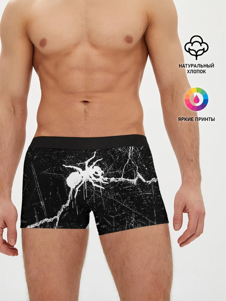 Мужские трусы боксеры / THE PRODIGY.