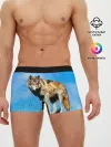 Мужские трусы боксеры / Волк
