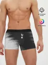 Мужские трусы боксеры / TOTTENHAM HOTSPUR / Тоттенхэм