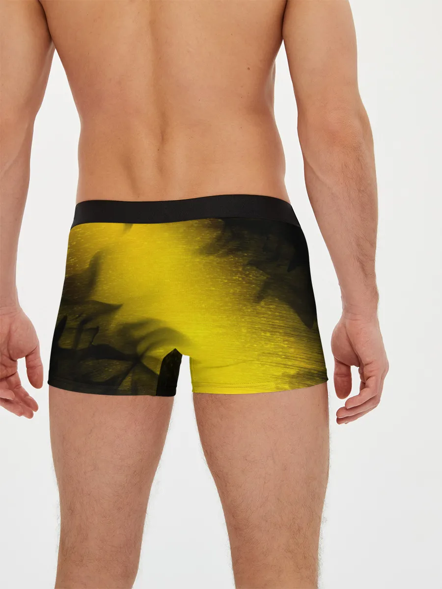 Мужские трусы боксеры / BORUSSIA / Боруссия