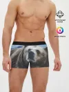 Мужские трусы боксеры / Гризли