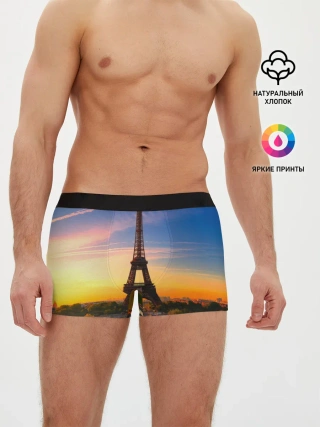 Мужские трусы боксеры / Эйфелева башня