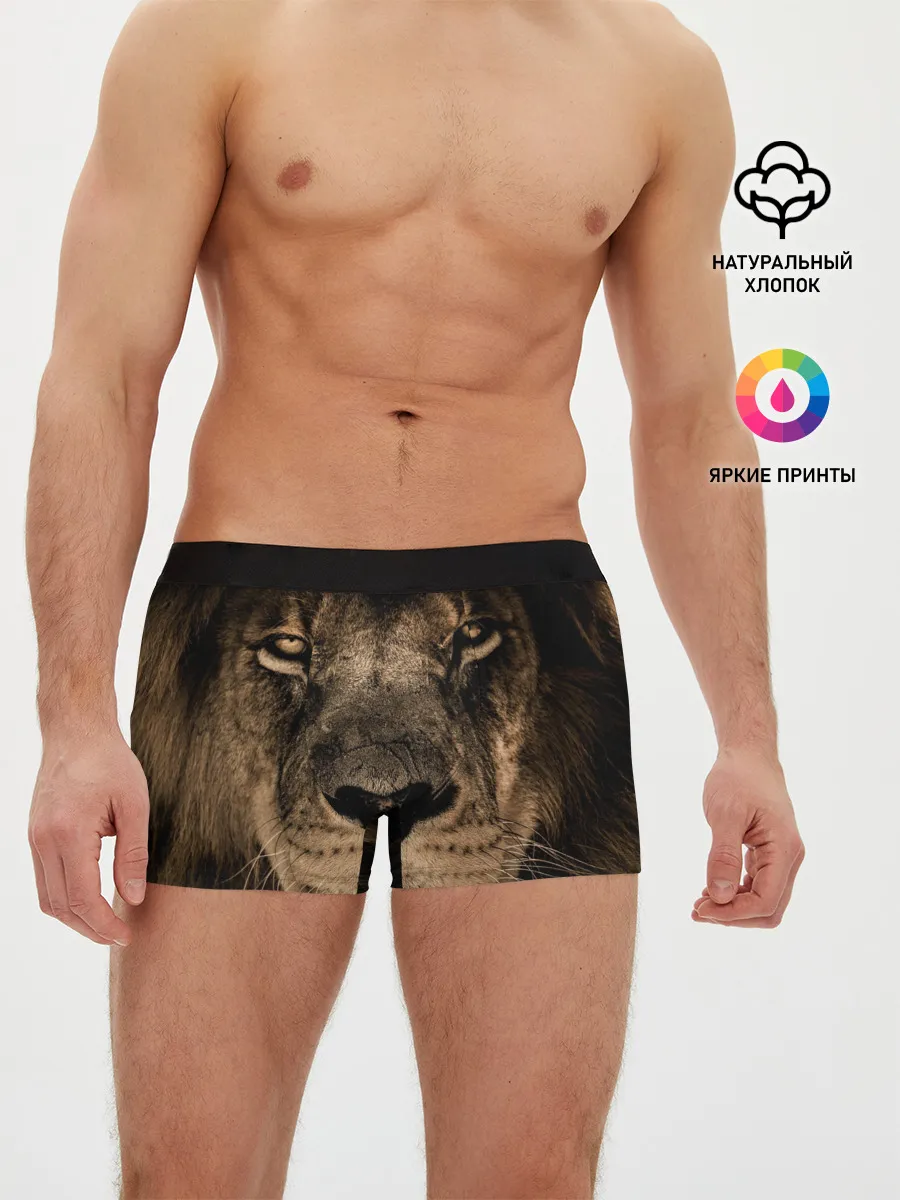 Мужские трусы боксеры / Лев