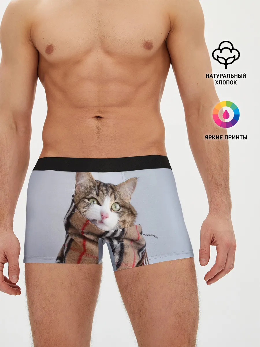 Мужские трусы боксеры / Кот в шарфе