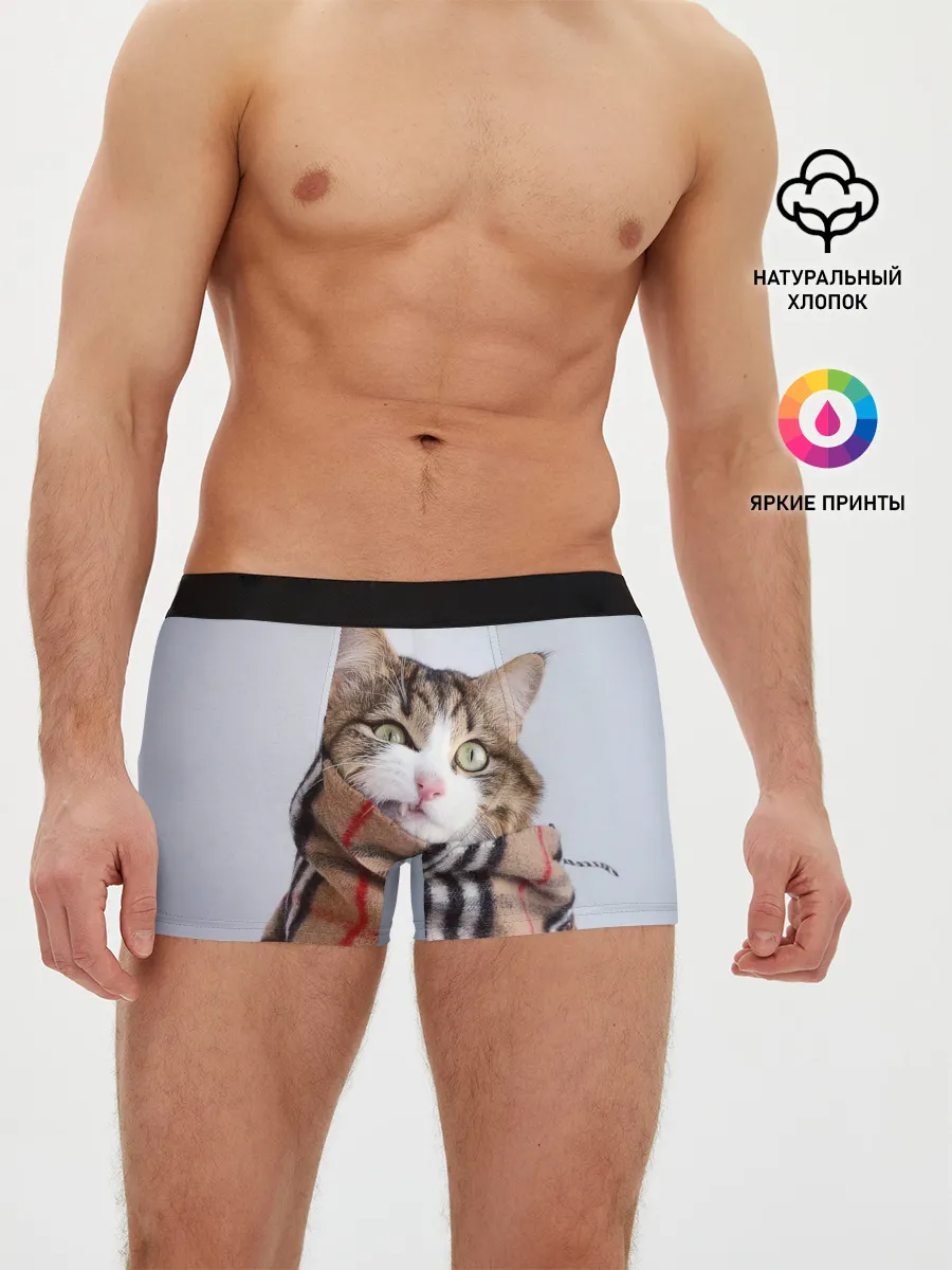 Мужские трусы боксеры / Кот в шарфе