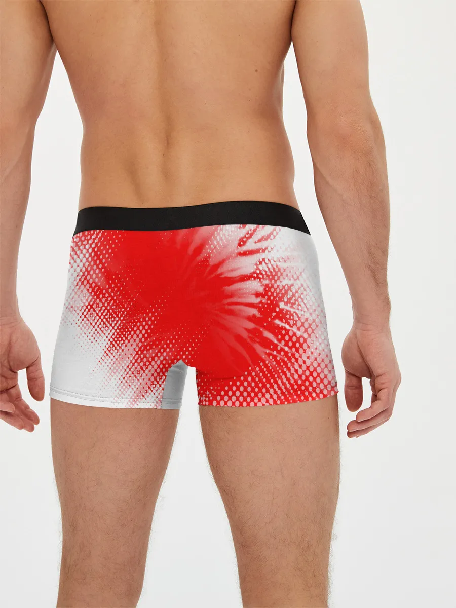 Мужские трусы боксеры / MAZDA / Мазда