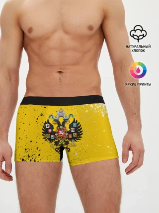 Мужские трусы боксеры / РОССИЙСКАЯ ИМПЕРИЯ