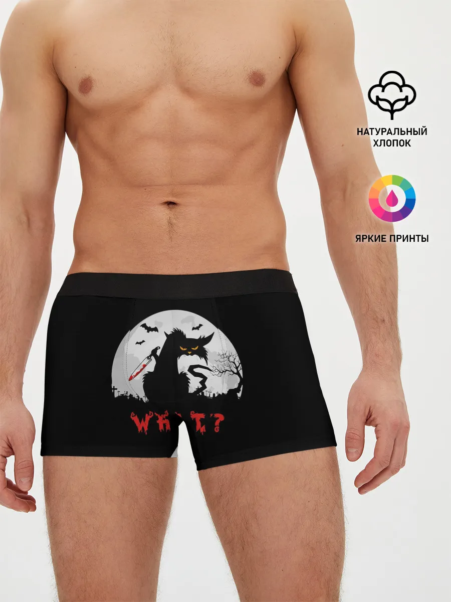 Мужские трусы боксеры / What Cat
