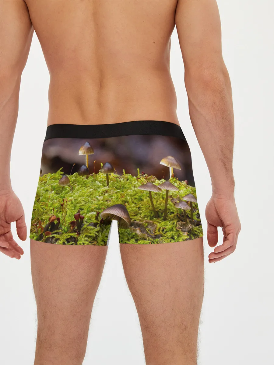 Мужские трусы боксеры / Мох