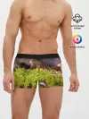 Мужские трусы боксеры / Мох