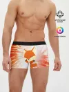 Мужские трусы боксеры / ЛИСИЧКА / FOXY
