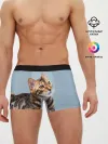Мужские трусы боксеры / Бенгальский кот