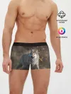 Мужские трусы боксеры / WOLF
