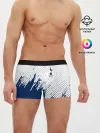Мужские трусы боксеры / Tottenham Hotspur.