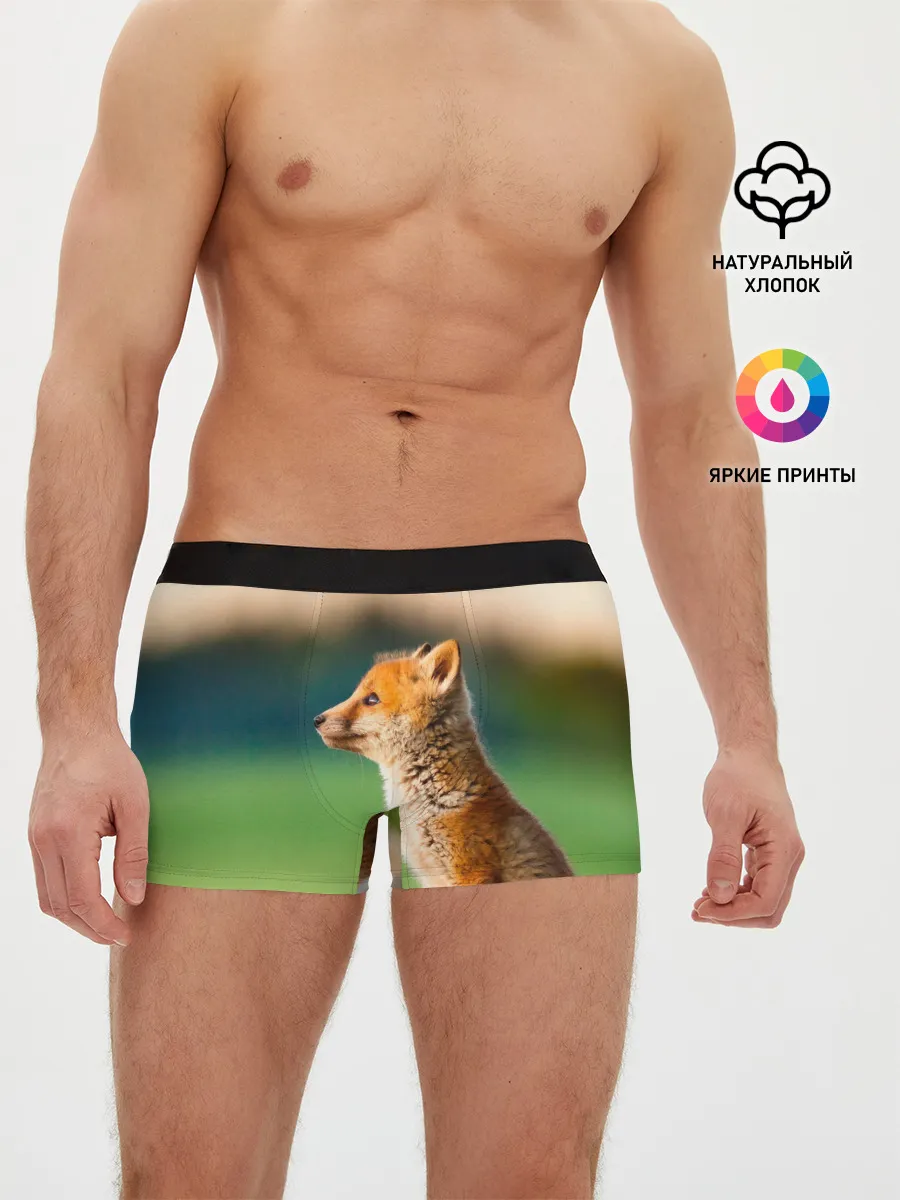 Мужские трусы боксеры / Лиса