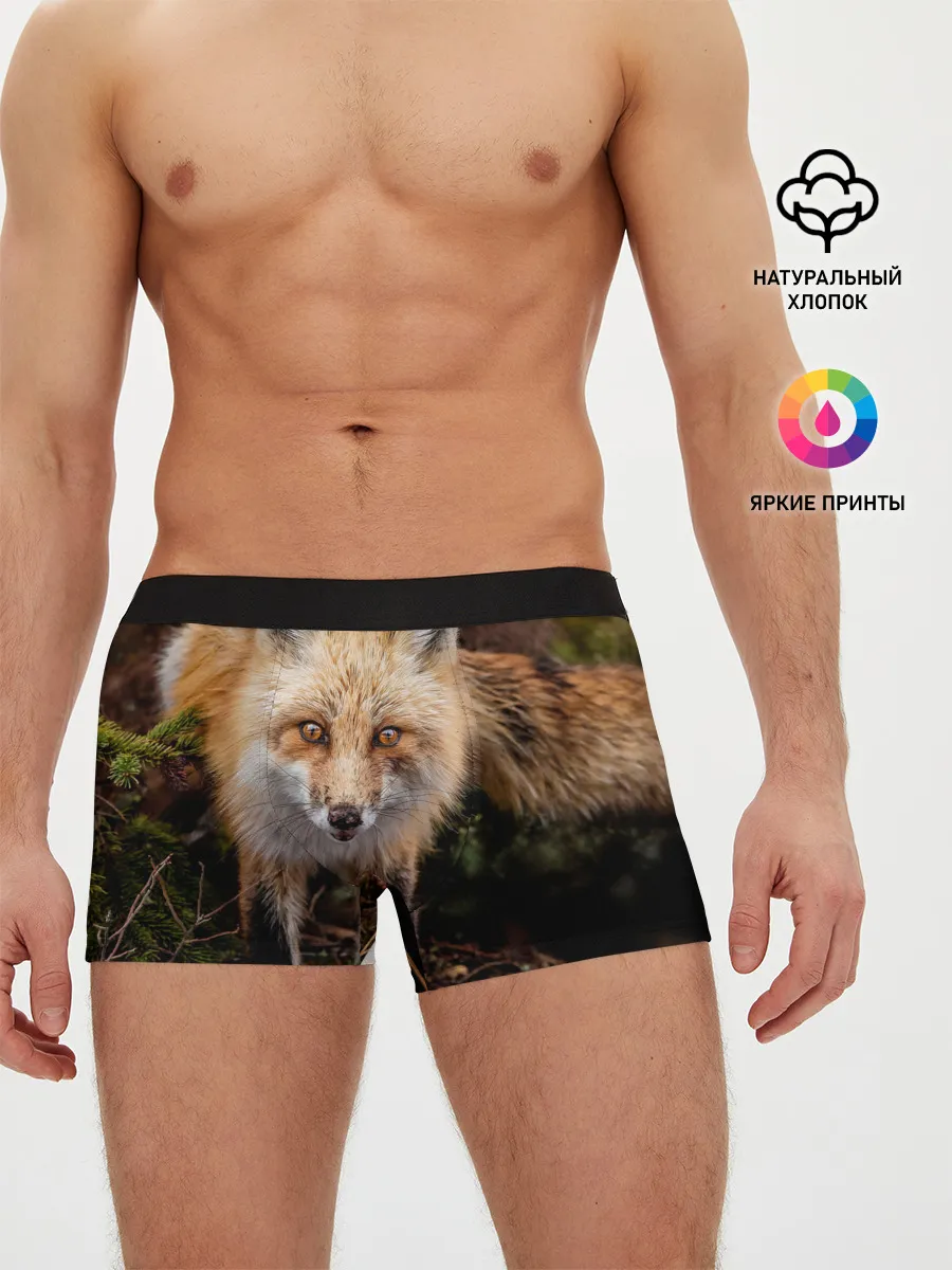 Мужские трусы боксеры / Лиса