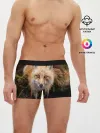 Мужские трусы боксеры / Лиса