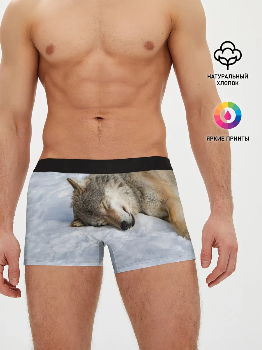 Мужские трусы боксеры / Спящий Волк