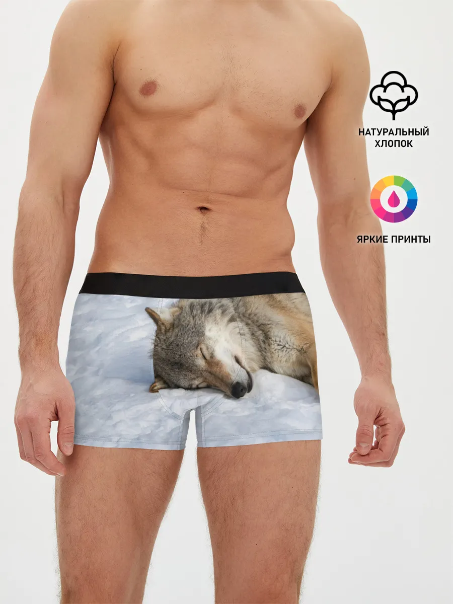Мужские трусы боксеры / Спящий Волк