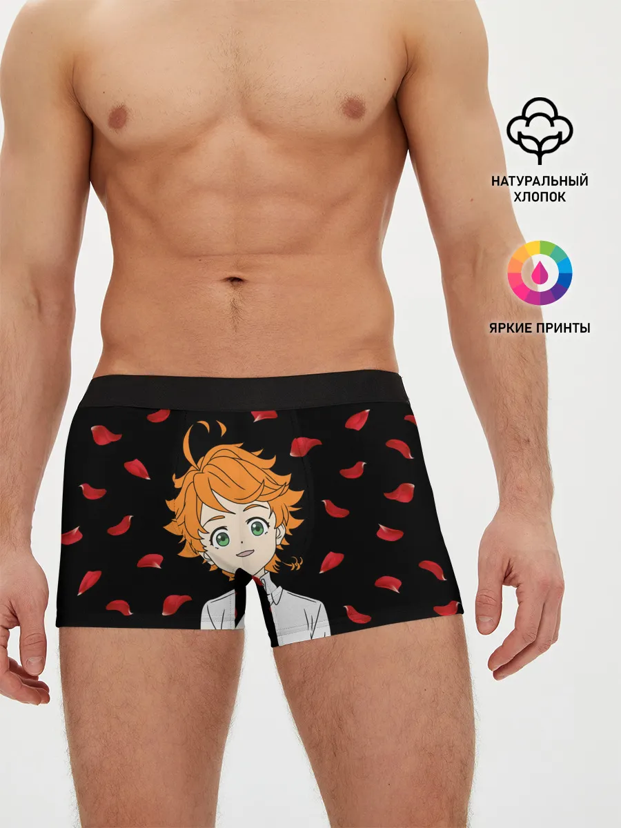 Мужские трусы боксеры / Обещанный Неверленд/Эмма