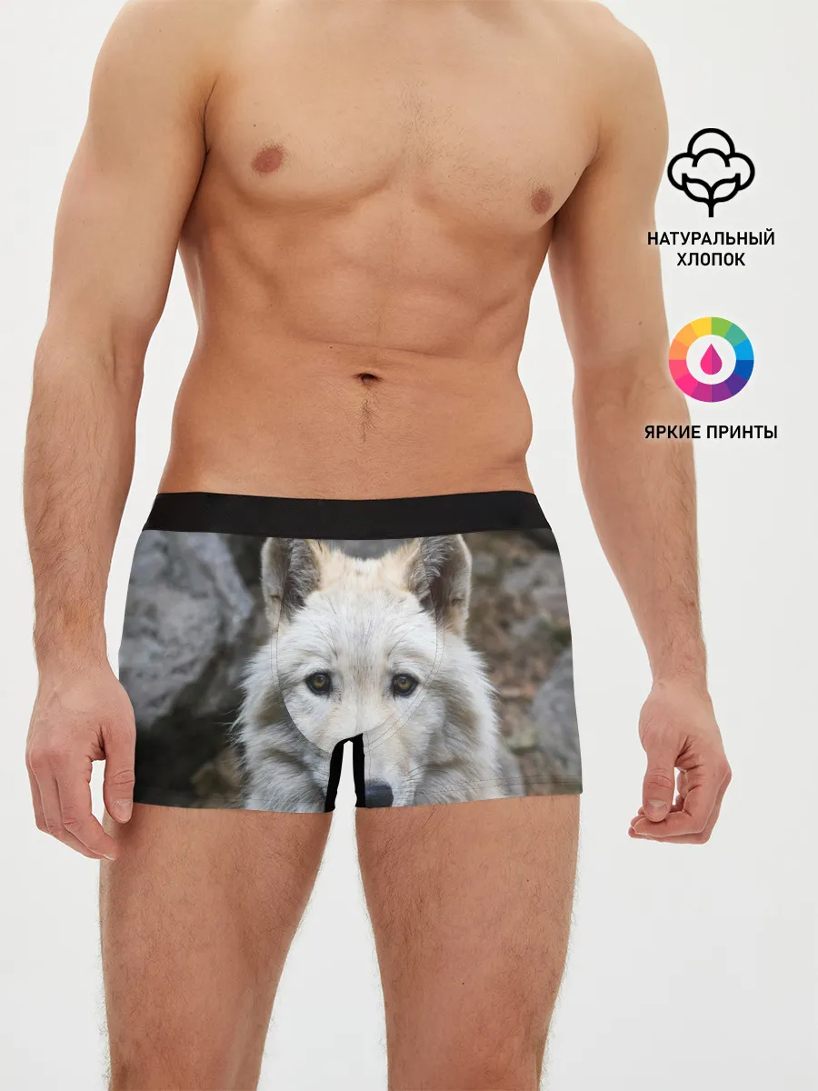 Мужские трусы боксеры / Волк