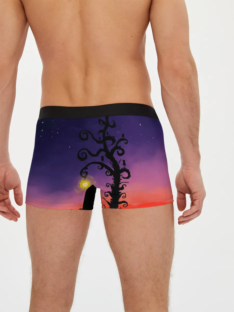 Мужские трусы боксеры / Ночь