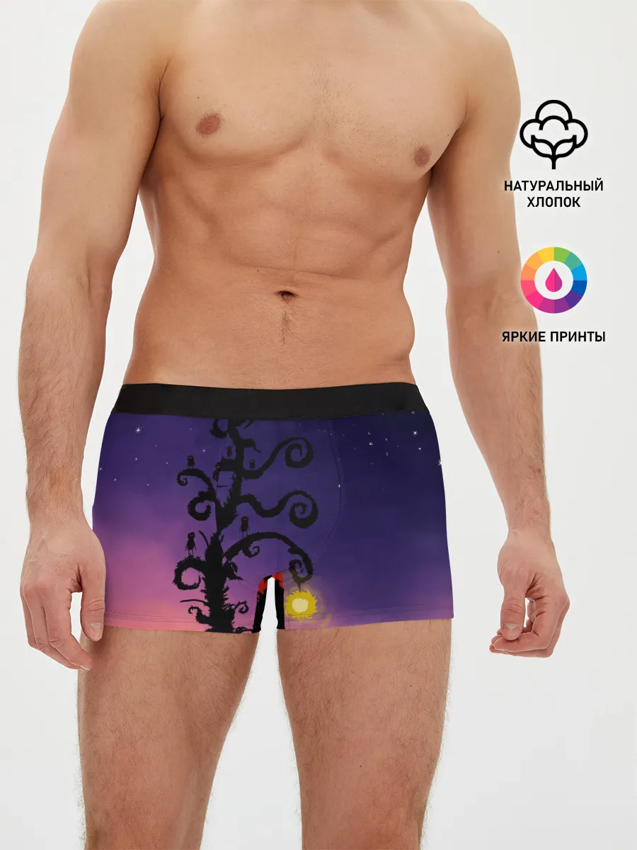 Мужские трусы боксеры / Ночь